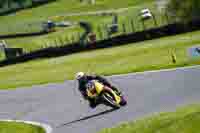 Middle Group Yellow Bikes